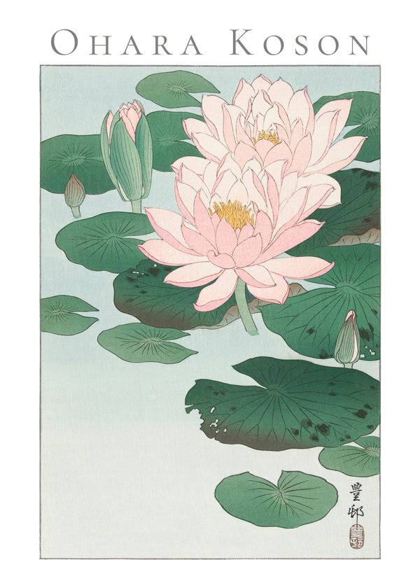 Botanický tisk s lekníny v japonském stylu