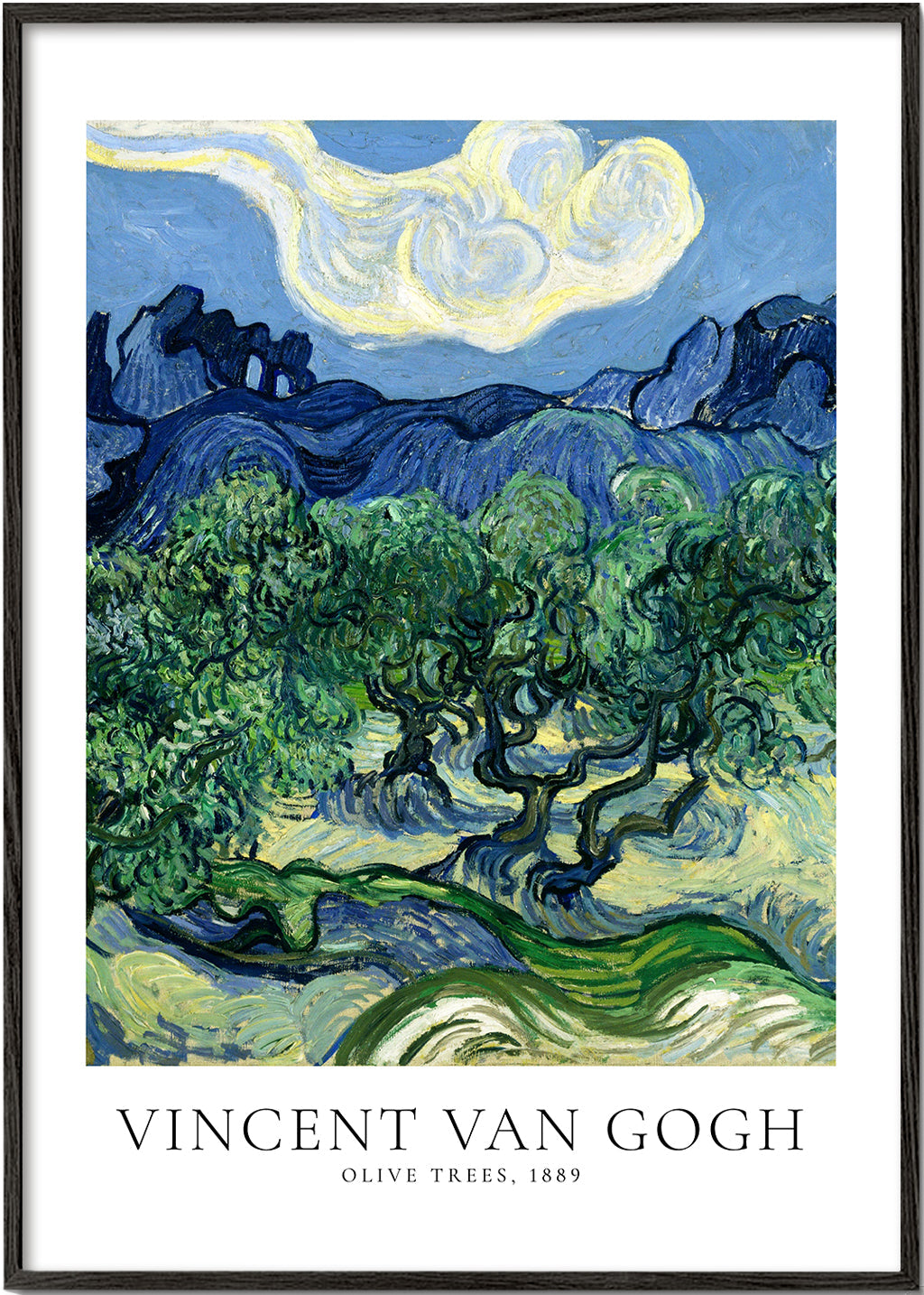 Botanický plakát Olivovníky Van Gogha