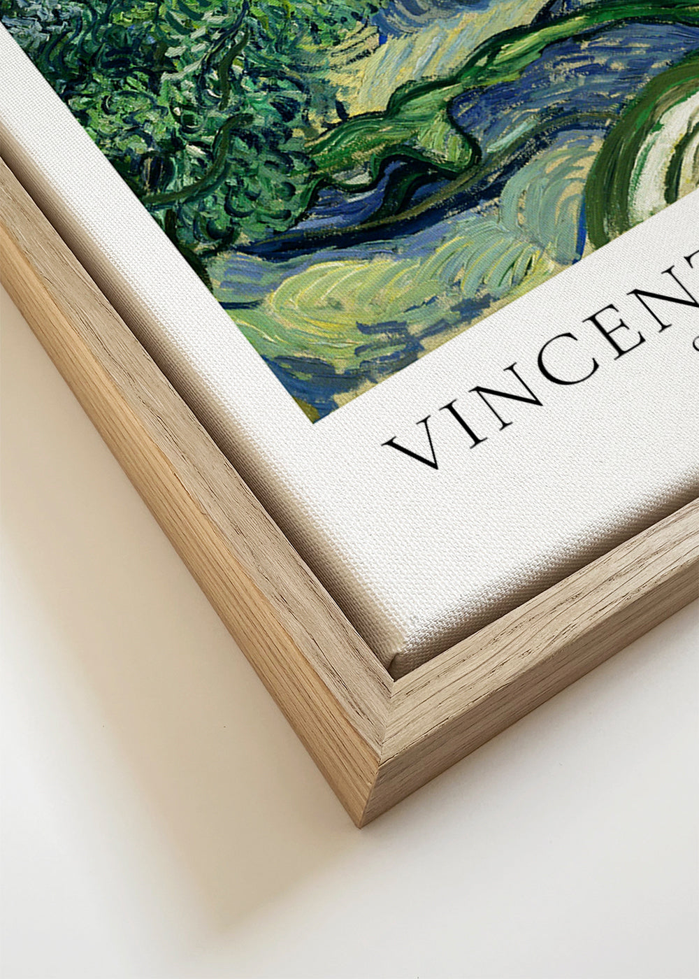 Botanický plakát Olivovníky Van Gogha