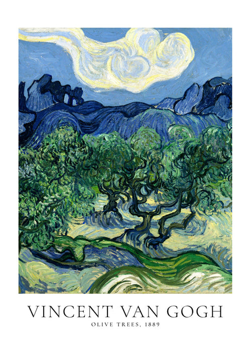 Botanický plakát Olivovníky Van Gogha