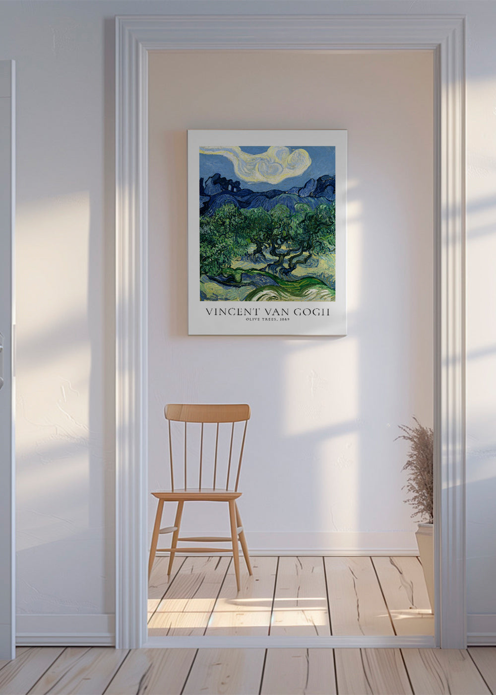 Botanický plakát Olivovníky Van Gogha