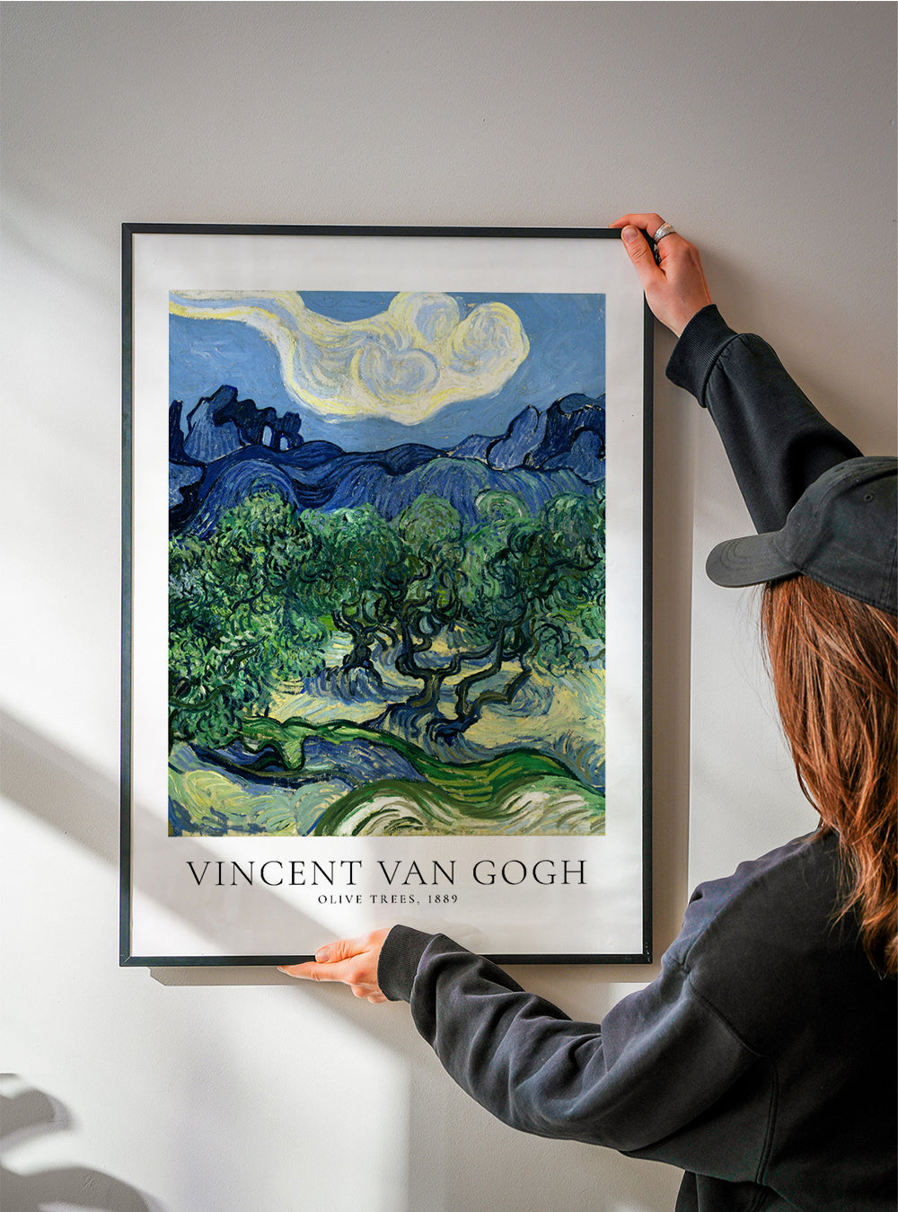 Botanický plakát Olivovníky Van Gogha