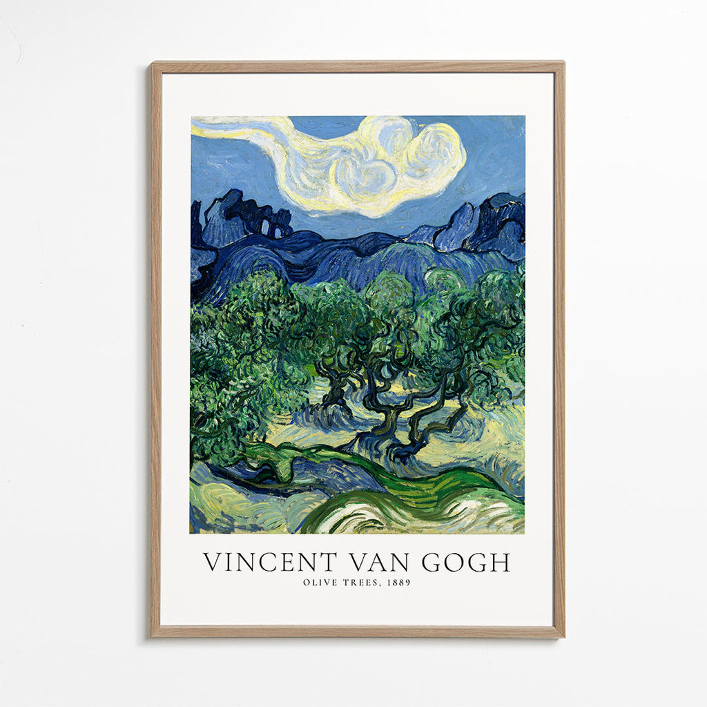 Botanický plakát Olivovníky Van Gogha