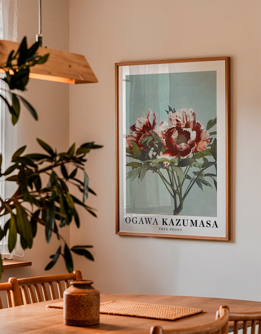 Botanický plakát Červená pivoňka na aqua