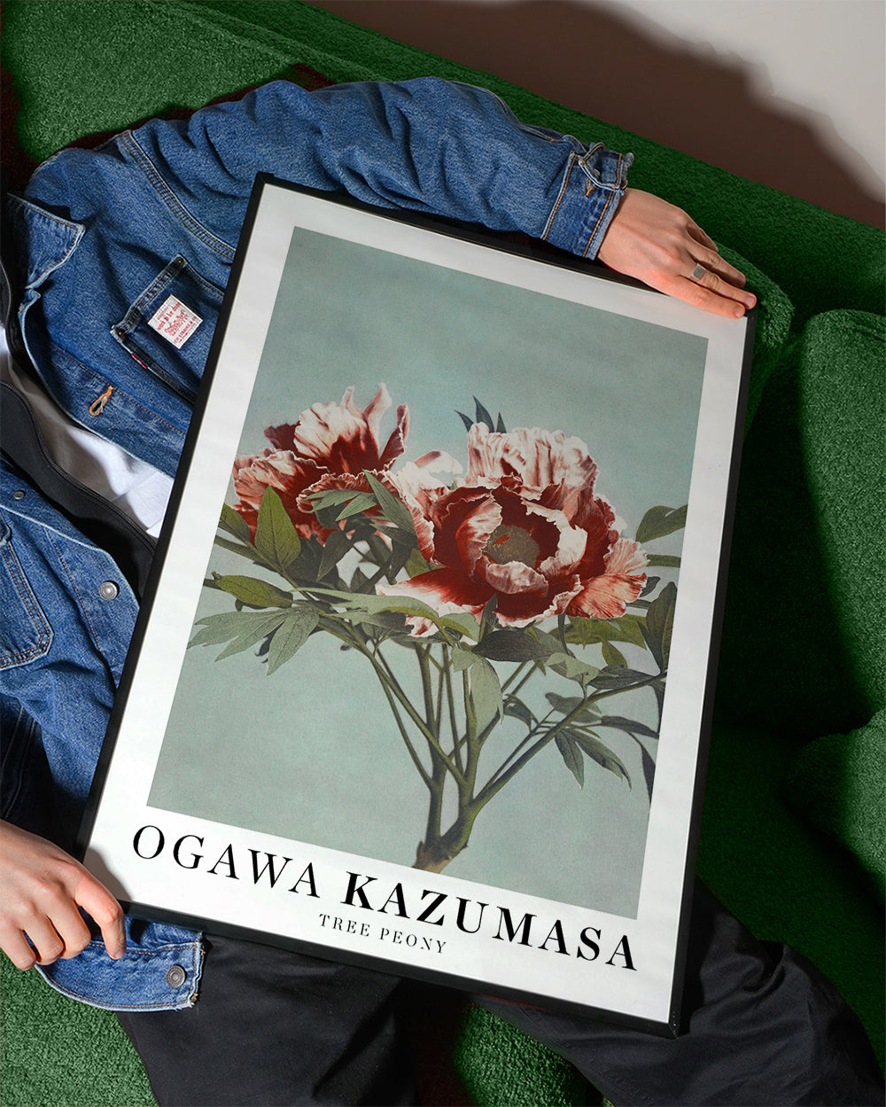 Botanický plakát Červená pivoňka na aqua