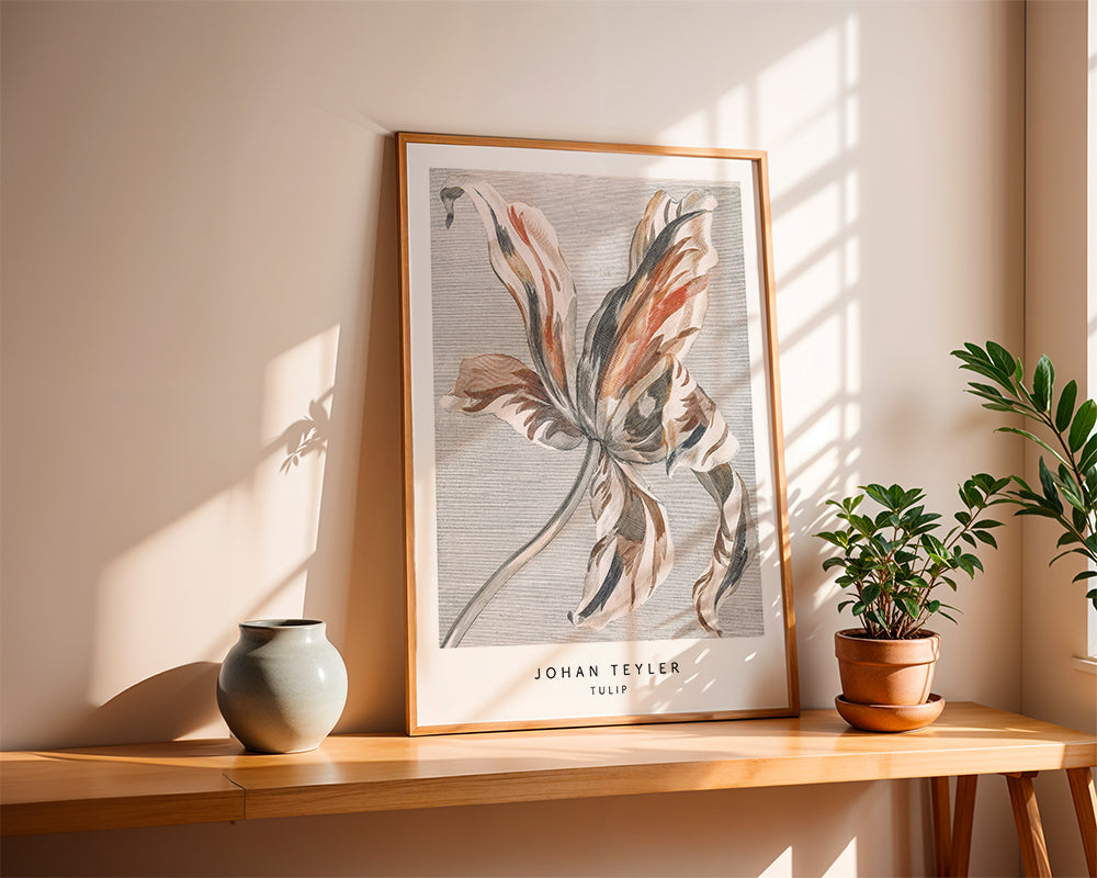 Botanický plakát: skica tulipánu