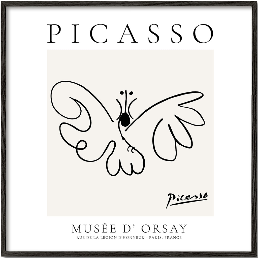 Holubice v liniovém provedení inspirovaná Picassem