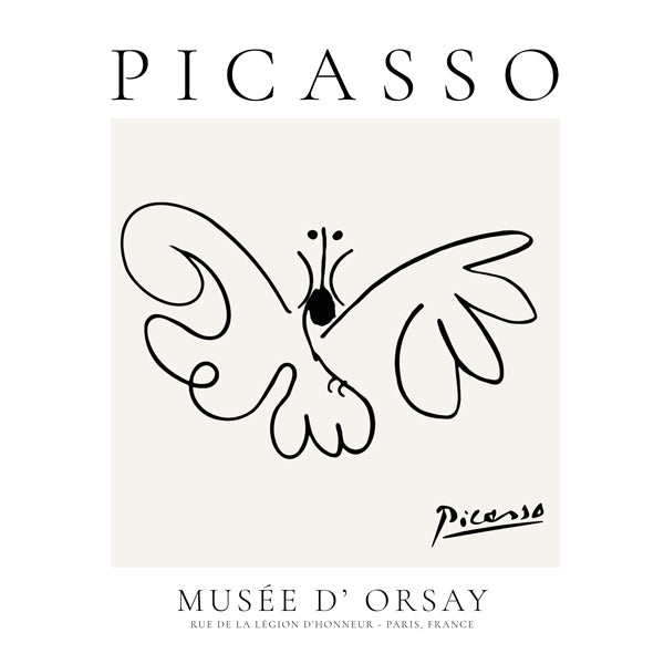 Holubice v liniovém provedení inspirovaná Picassem