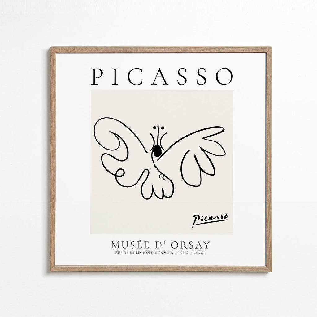 Holubice v liniovém provedení inspirovaná Picassem