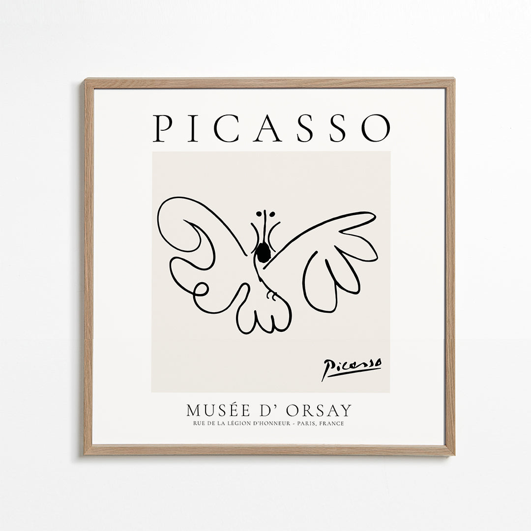 Holubice v liniovém provedení inspirovaná Picassem