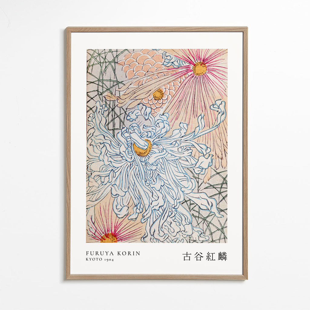 Japonský botanický tisk s modrou chryzantémou