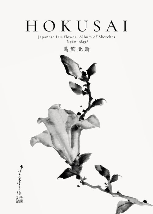 Botanický plakát Hokusai: japonská kosatec v tusi