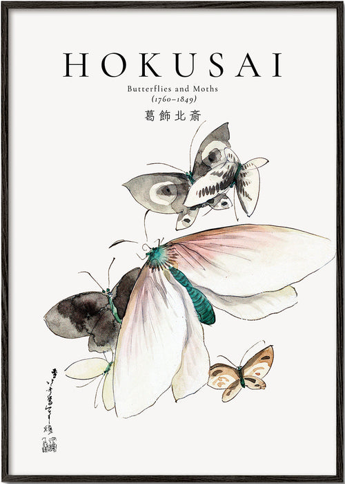 Hokusai ilustrace motýlů v tuši a akvarelu
