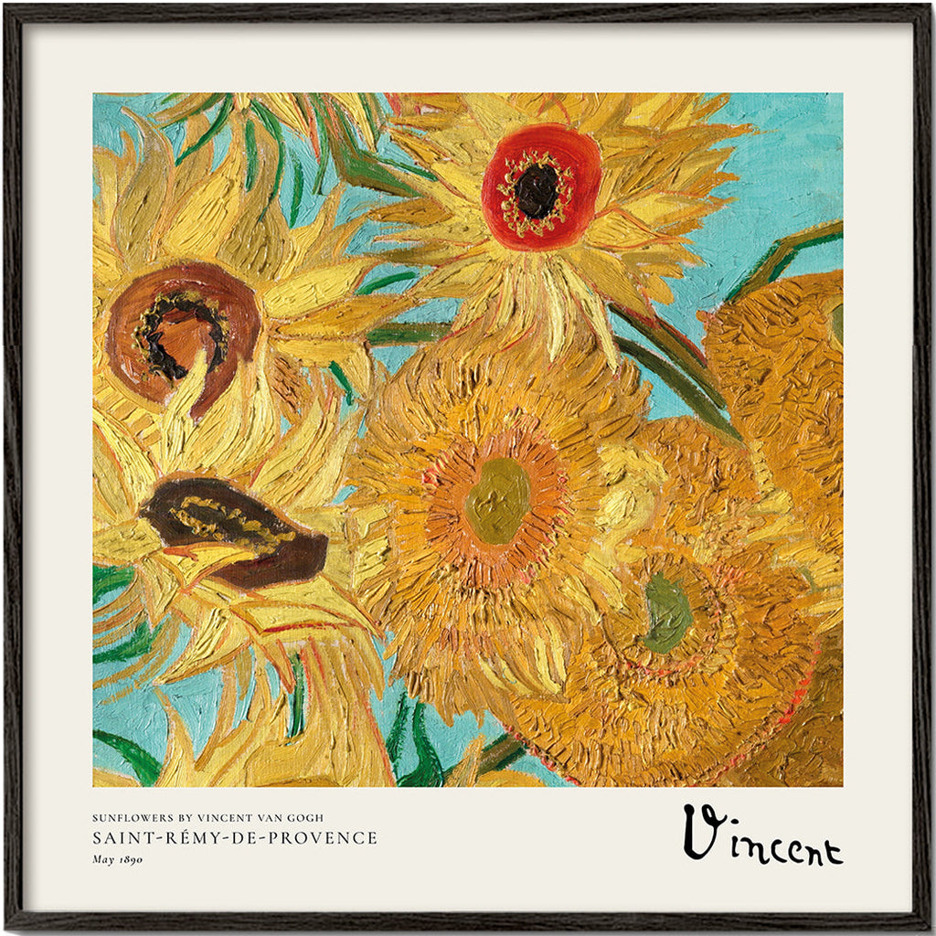 Botanický plakát Slunečnice v impasto