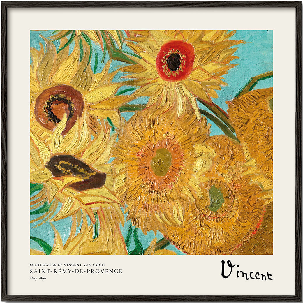 Botanický plakát Slunečnice v impasto