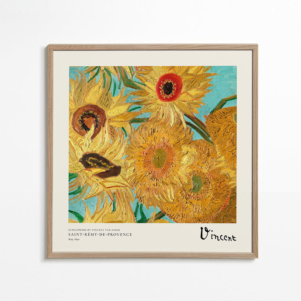 Botanický plakát Slunečnice v impasto