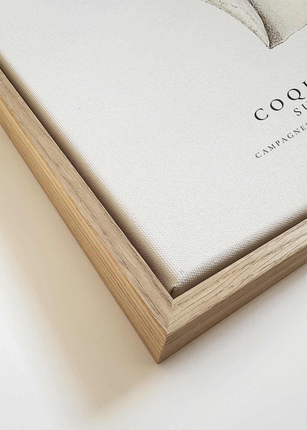 Vědecká ilustrace lastury