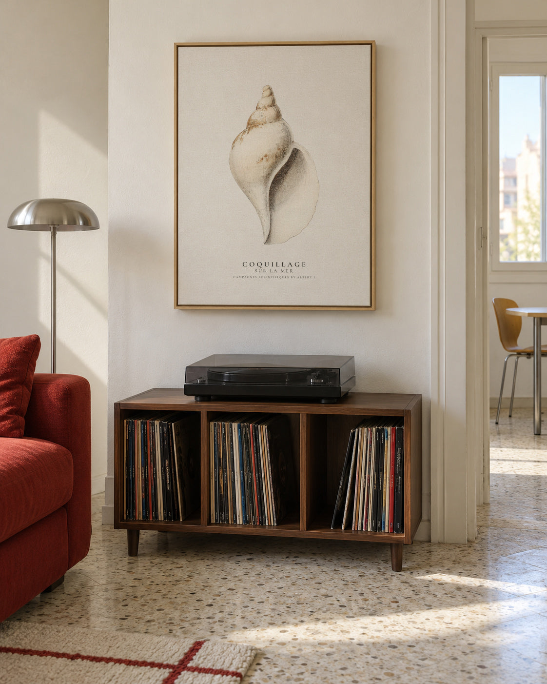 The gastropod shell (Coquillage) - Sealife Collection - Framed canvas in an interior