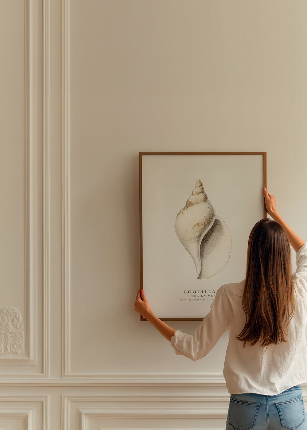 Vědecká ilustrace lastury