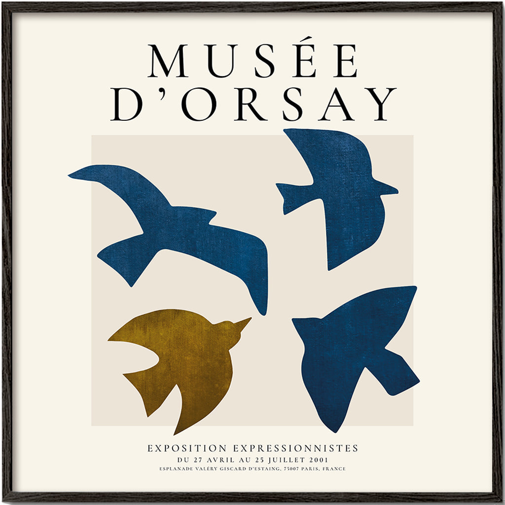 Vintage plakát Musée d'Orsay se stylizovanými ptáky