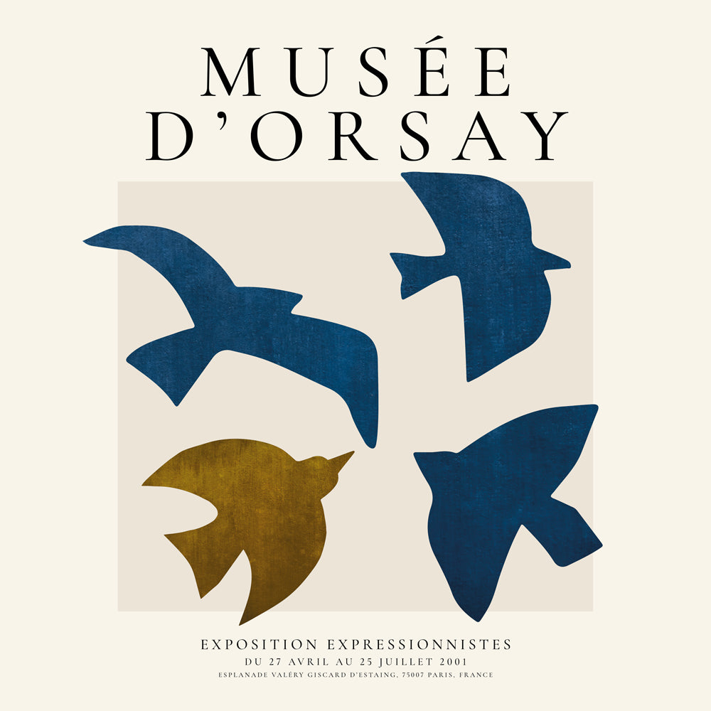 Vintage plakát Musée d'Orsay se stylizovanými ptáky