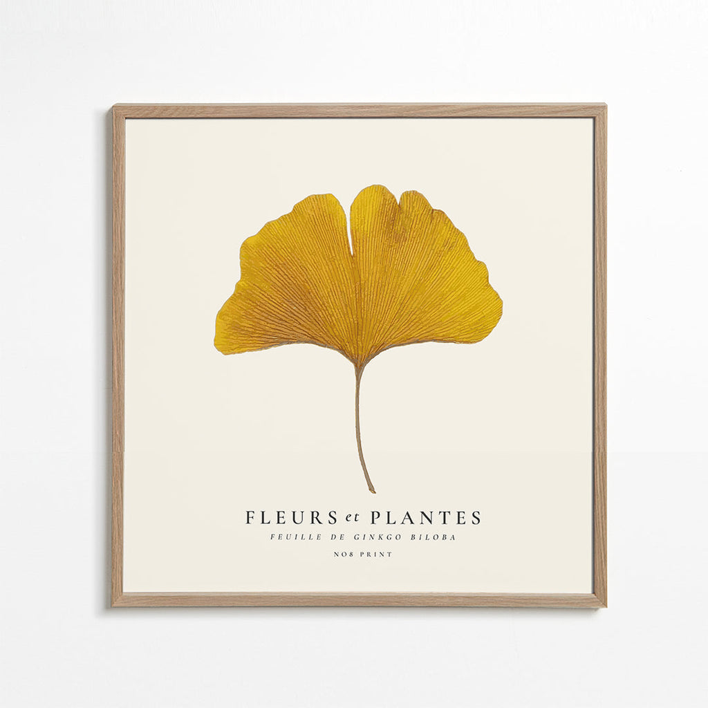 Botanický plakát list ginkgo žlutý