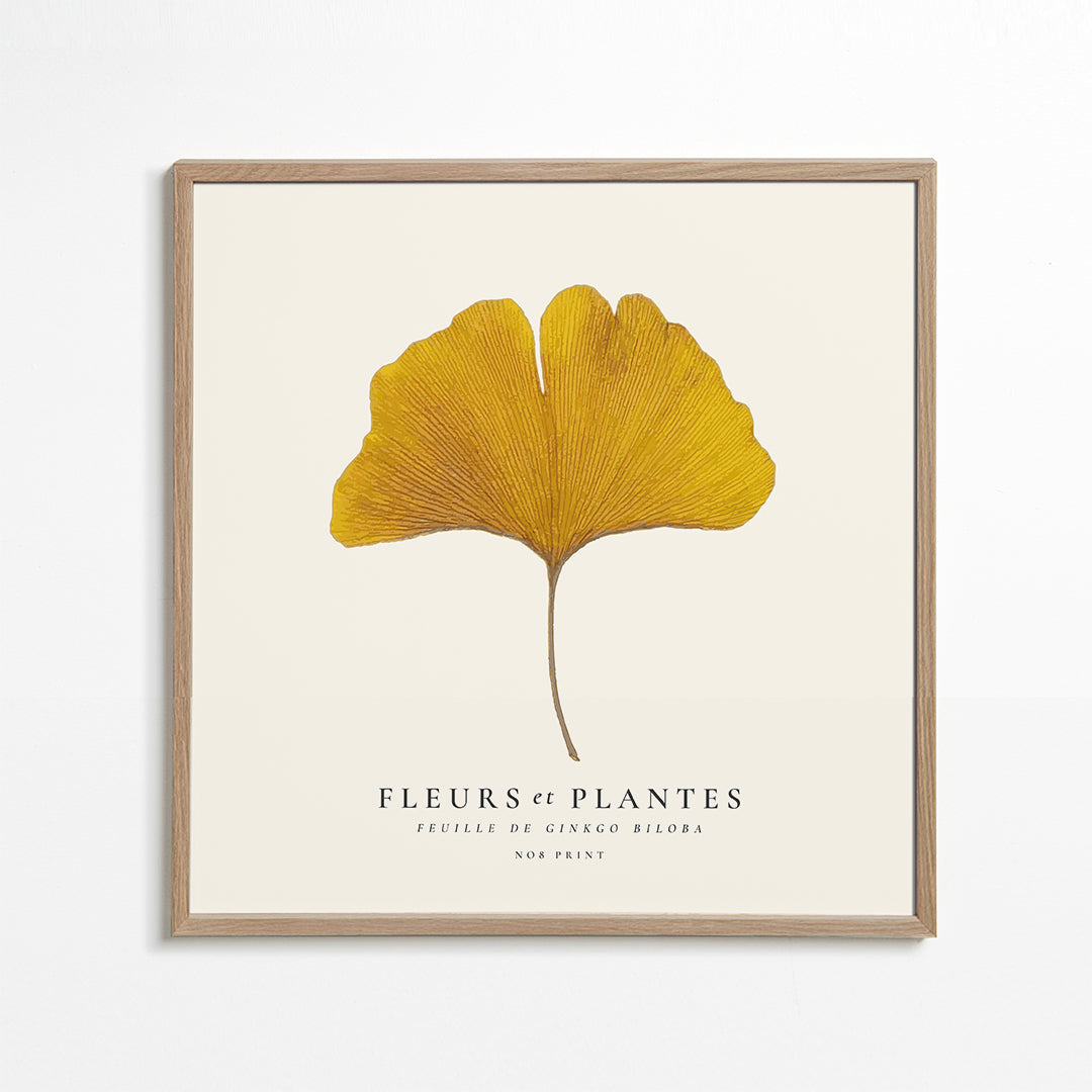 Botanický plakát list ginkgo žlutý