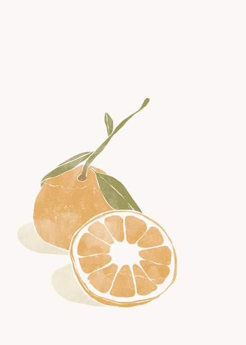 Obraz do kuchyně s minimalistickou ilustrací pomeranče