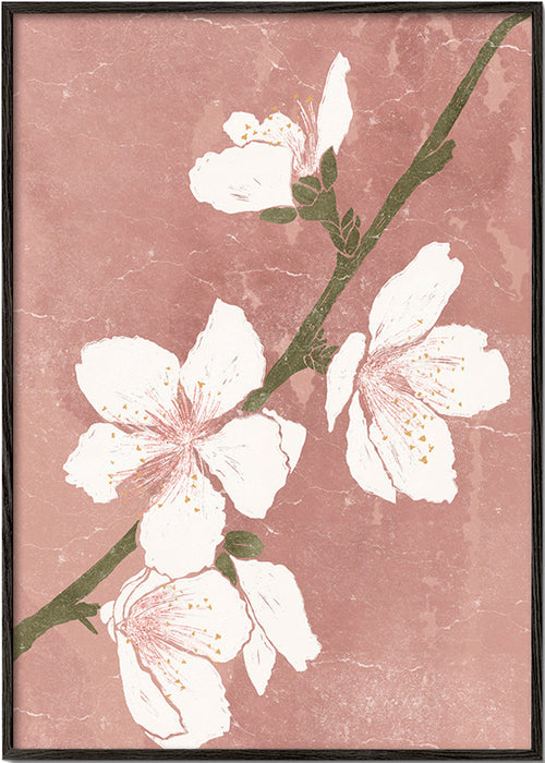 Botanický plakát s květem na růžovém pozadí – Black Frame