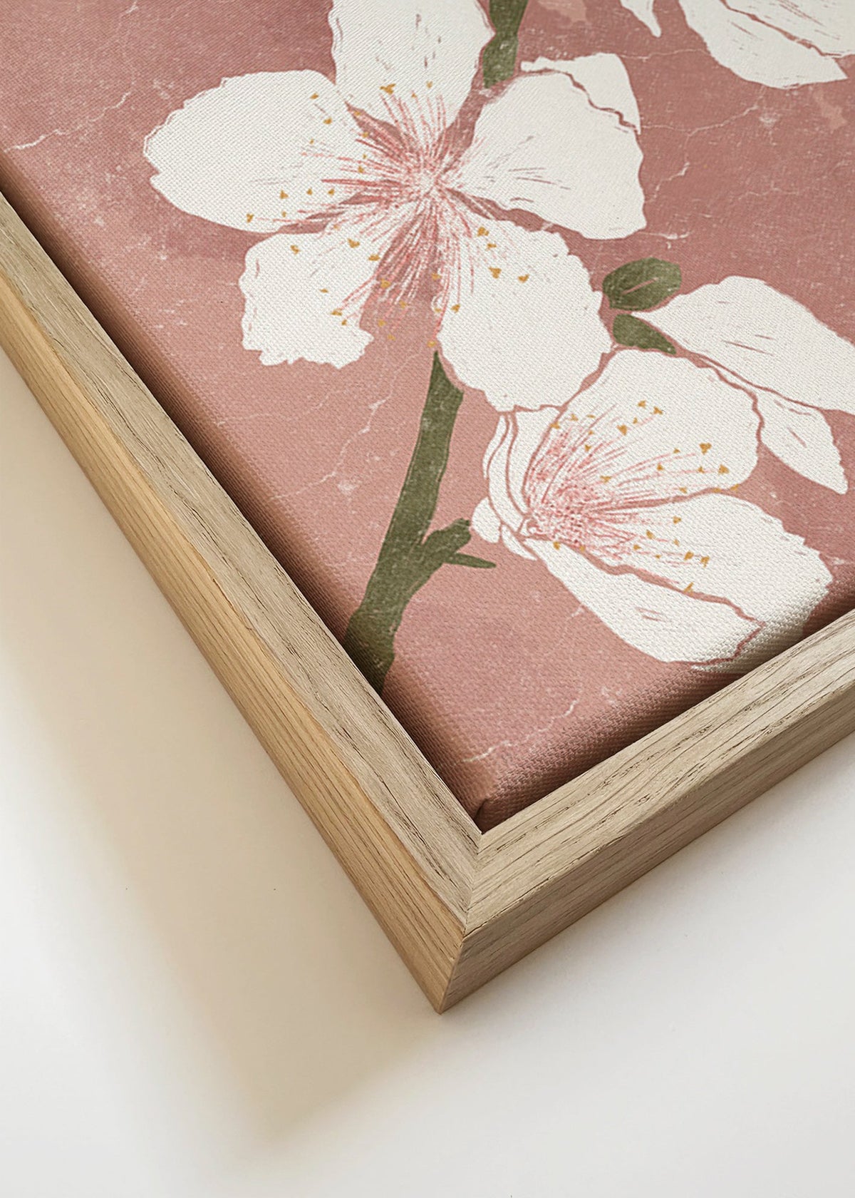 Botanický plakát s květem na růžovém pozadí – Canvas detail