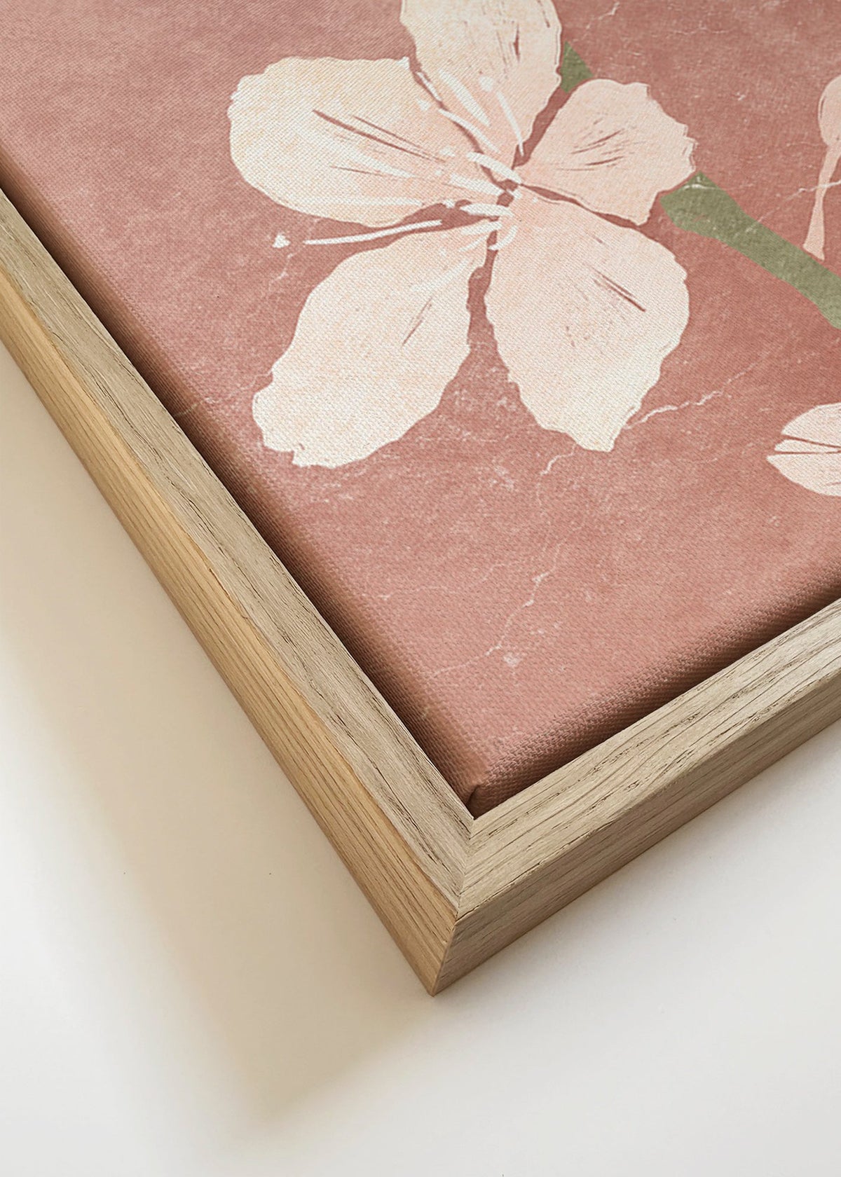 Botanický plakát růžový květ – Canvas detail