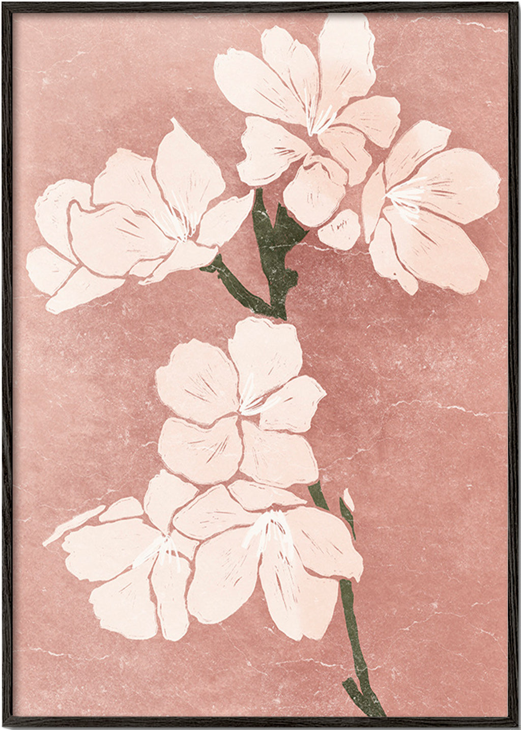 Botanický plakát růžové květy s vintage strukturou – Black Frame