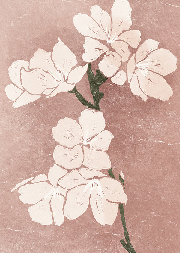 Botanický plakát růžové květy s vintage strukturou