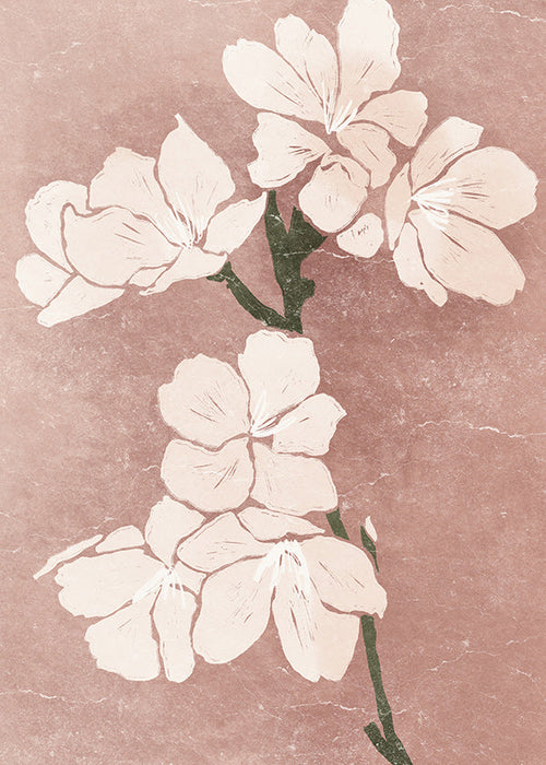 Botanický plakát růžové květy s vintage strukturou