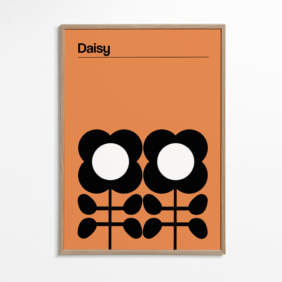 Botanický plakát Daisy minimalistický