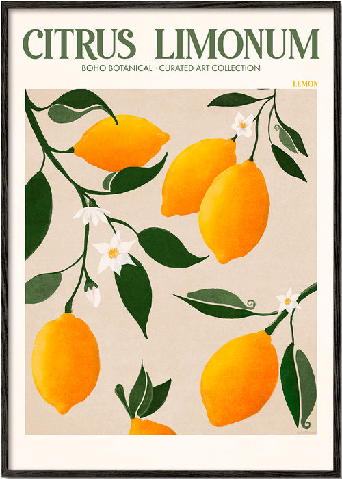 Botanický plakát citrony na větvi