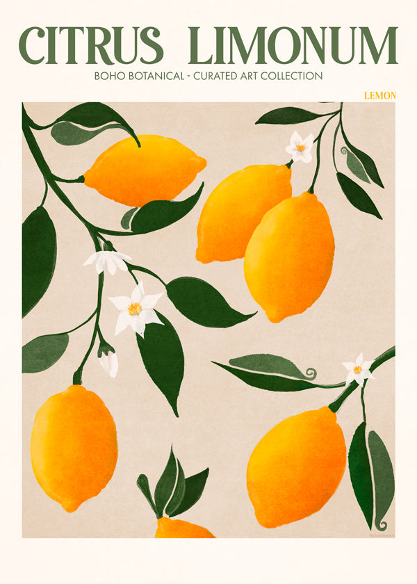 Botanický plakát citrony na větvi