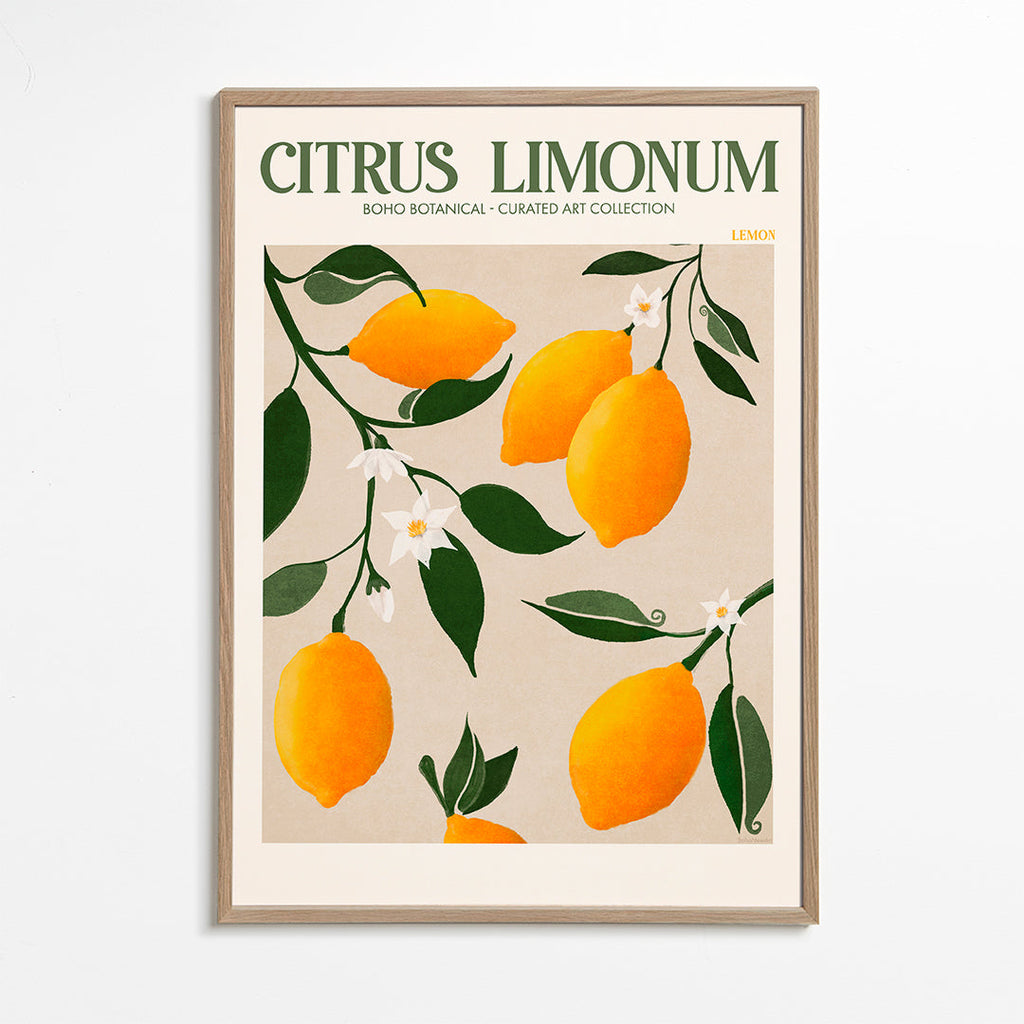 Botanický plakát citrony na větvi