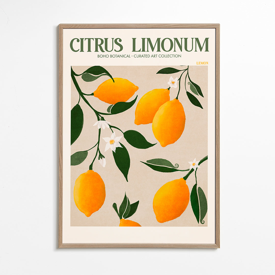 Botanický plakát citrony na větvi