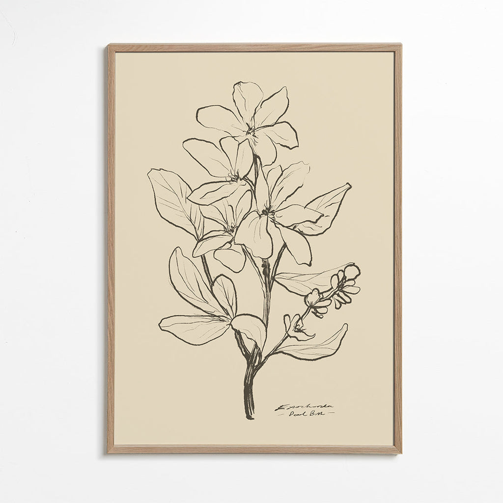 Botanický plakát — květ v liniové skice