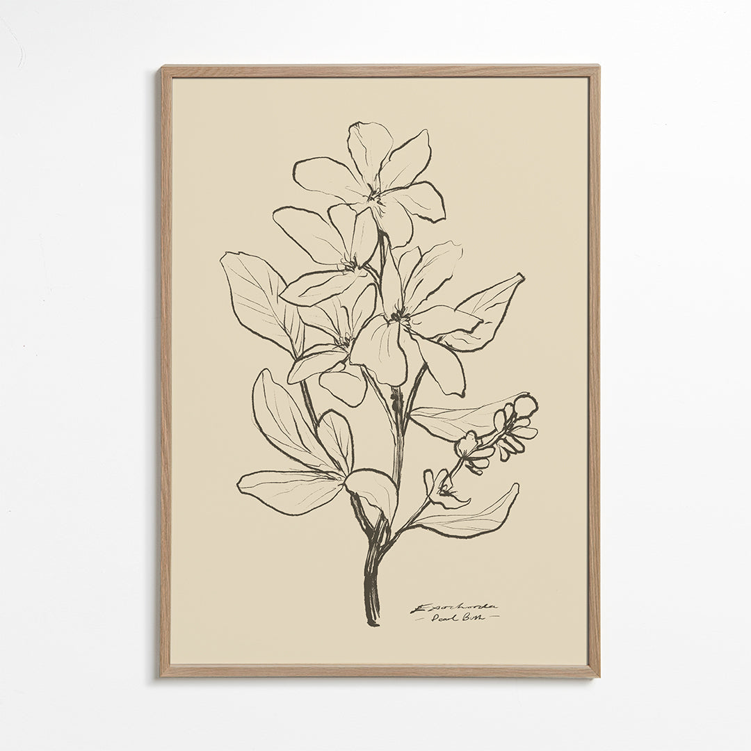 Botanický plakát — květ v liniové skice