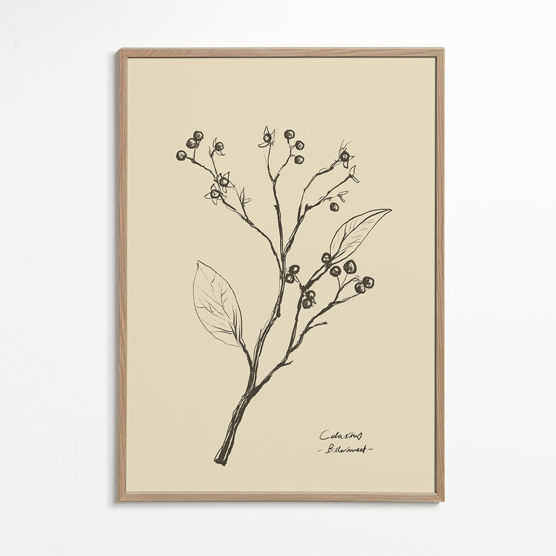 Botanický tisk: větev s bobulemi na béžové