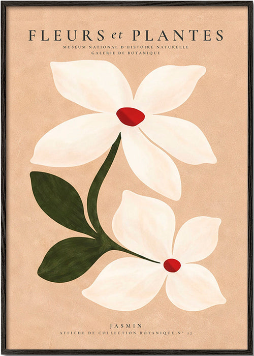 Botanický tisk jasmín na béžovém pozadí