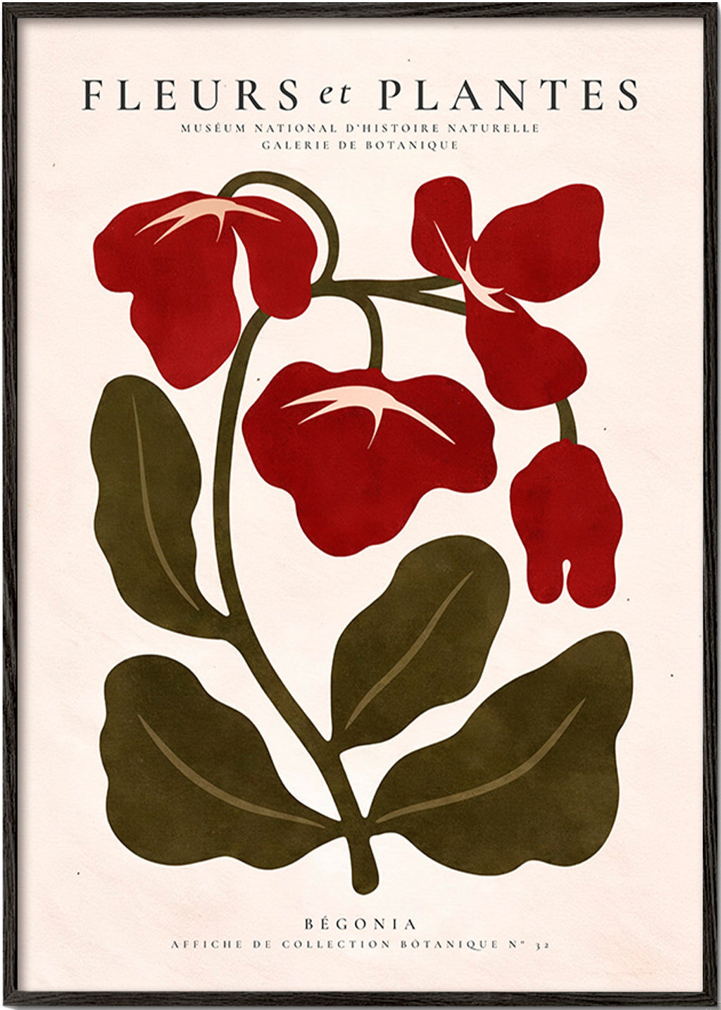 Botanický plakát: Červená begónie stylizovaná