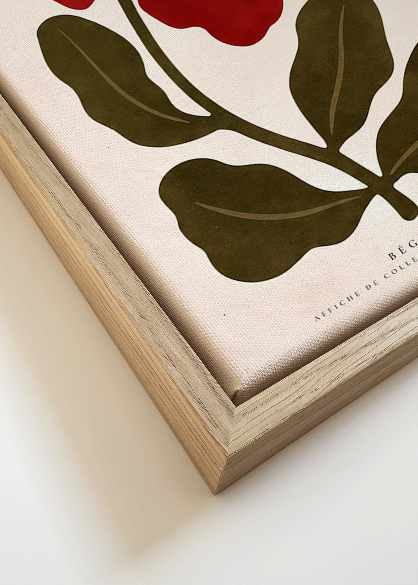 Botanický plakát: Červená begónie stylizovaná