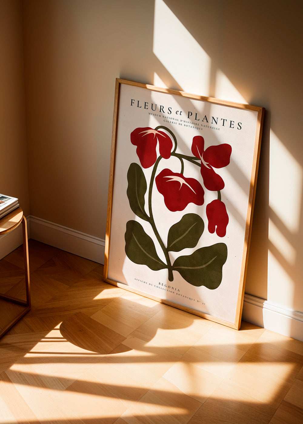 Botanický plakát: Červená begónie stylizovaná