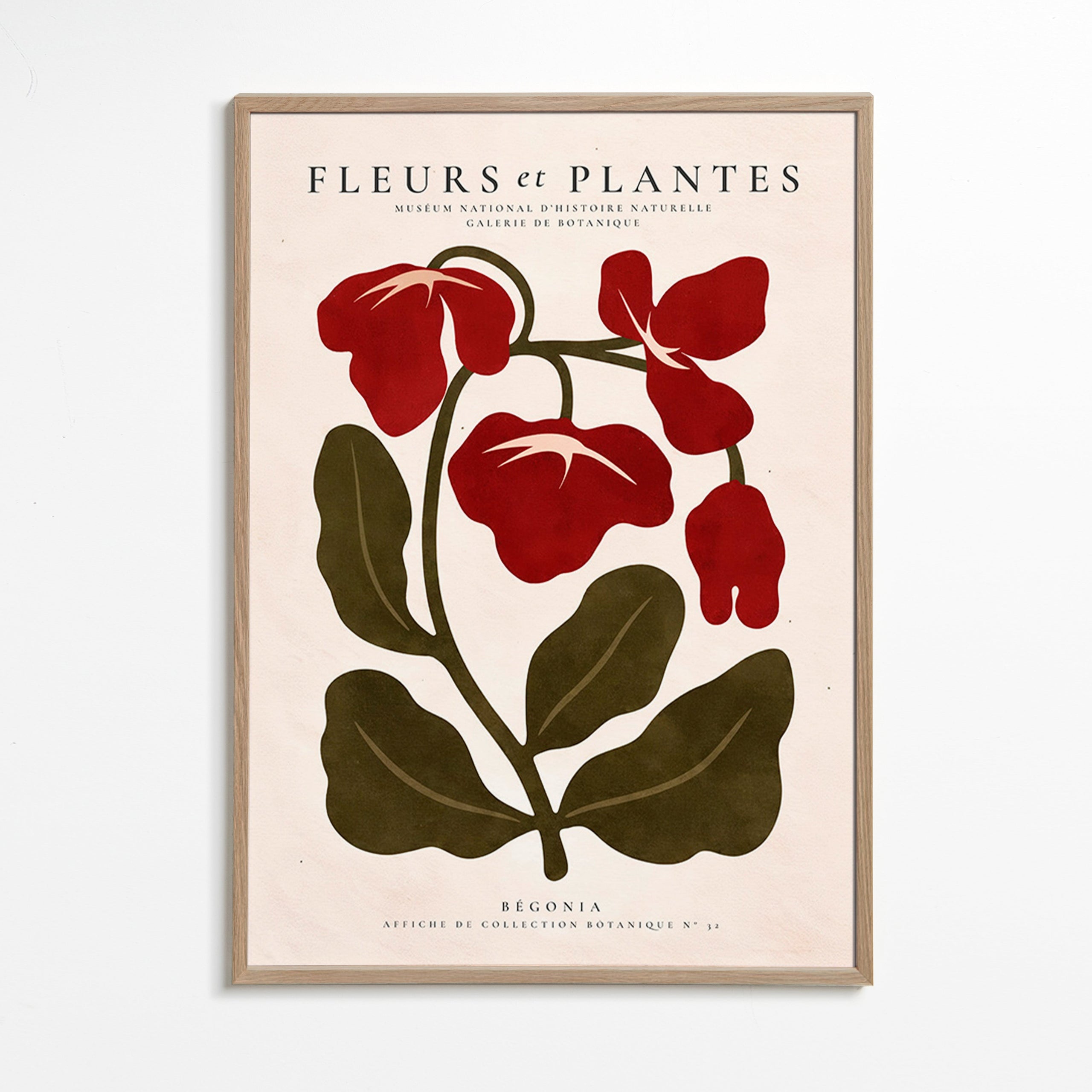 Botanický plakát: Červená begónie stylizovaná