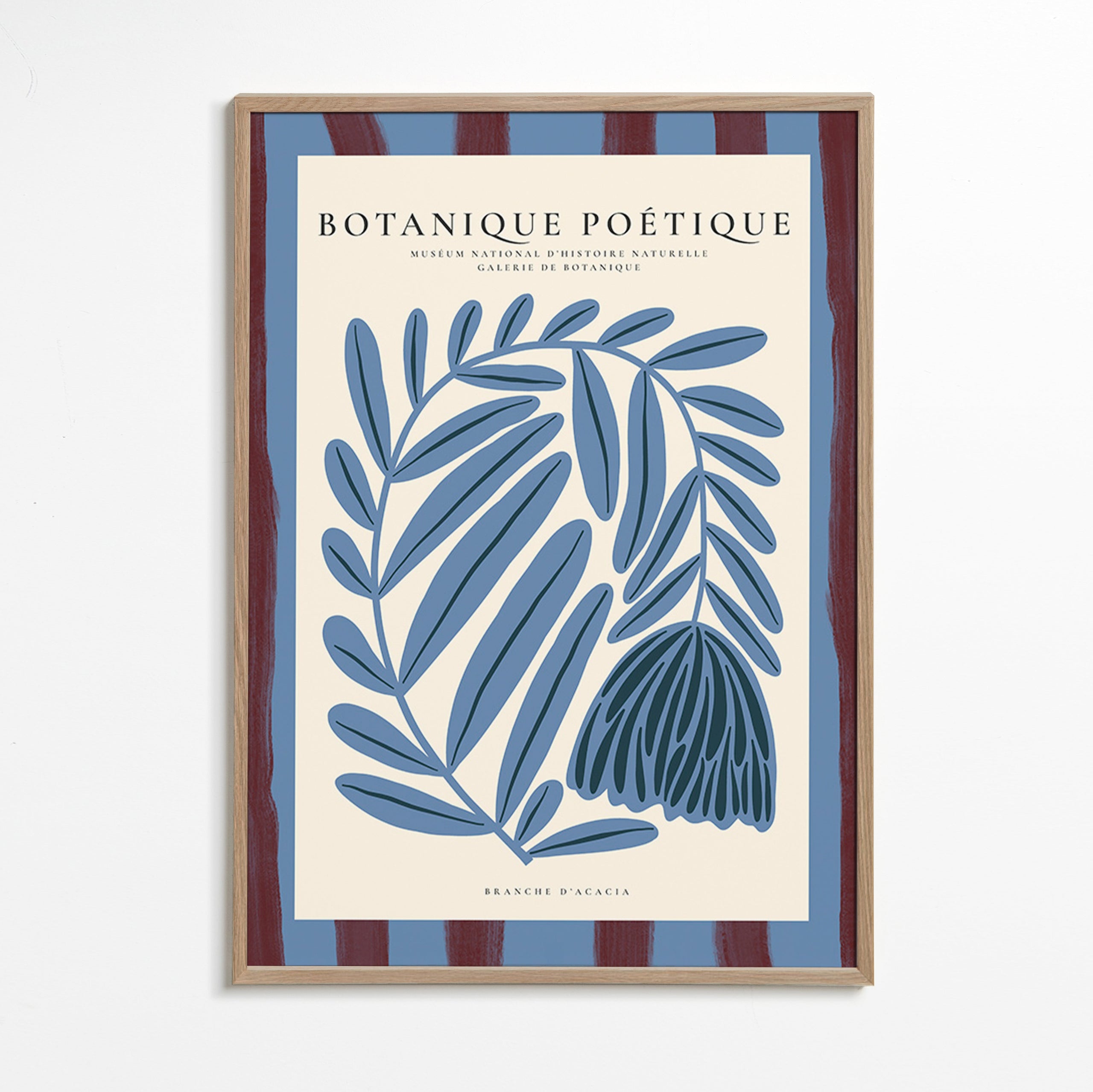 Botanický plakát: stylizovaná modrá akácie