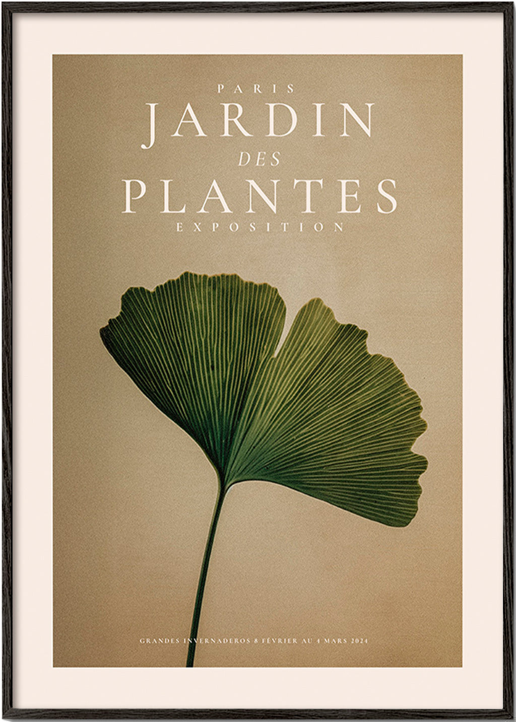 Botanický plakát s listem gingka a klasickou typografií