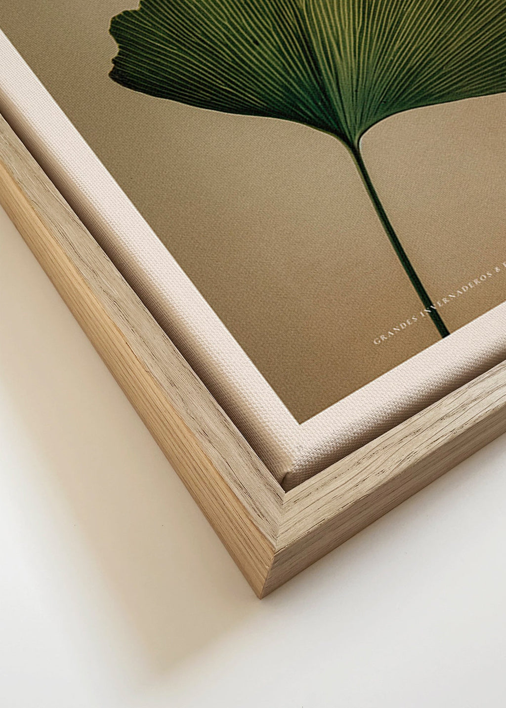 Botanický plakát s listem gingka a klasickou typografií